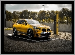 BMW X2, AC Schnitzer