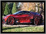 Bok, Bugatti Divo Lady Bug