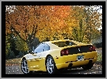 Drzewa, Ferrari 355 F1 Berlinetta, Plac