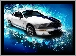 Shelby, Ford Mustang