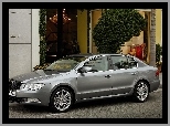 Srebrny, Skoda Superb, Witryna, Ulica