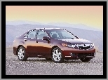 Acura TSX, Alufelgi